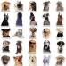 Roggoe Dog-Themed Decals – 50-Piece Set of Fun, Waterproof Stickers Featuring Adorable Dog Designs for Personalization